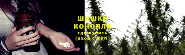 spice Алзамай