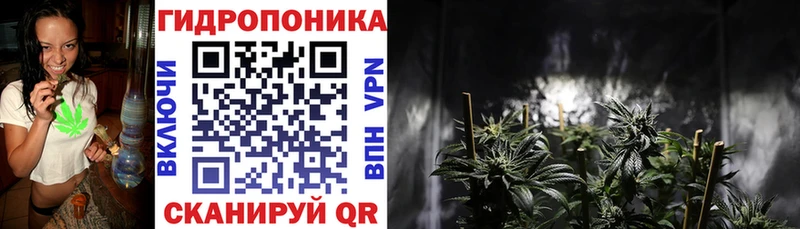 купить наркотики цена  Сорочинск  Бошки Шишки Bruce Banner 
